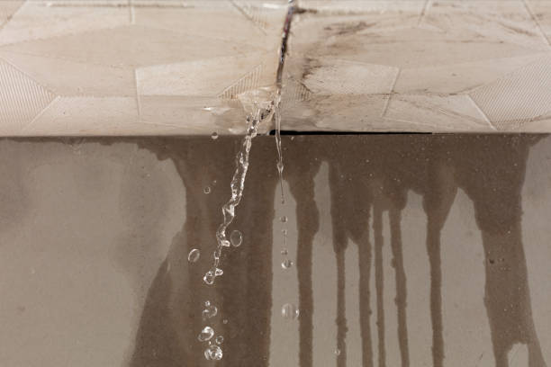 Professional Structural Drying technician working in Holden, MO